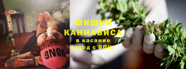 мяу мяу мука Бородино