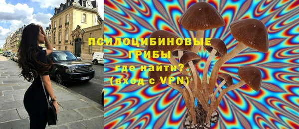 крисы Верхнеуральск