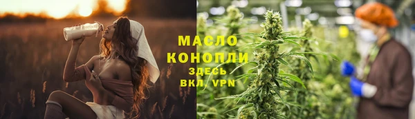 сатива Верея