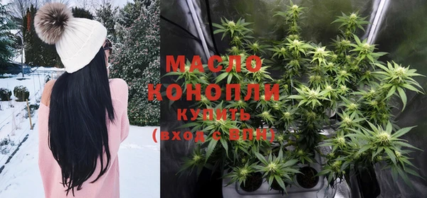 сатива Верея