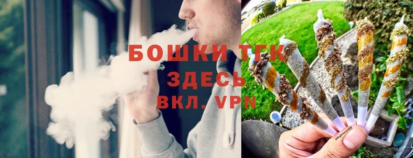 сатива Верея