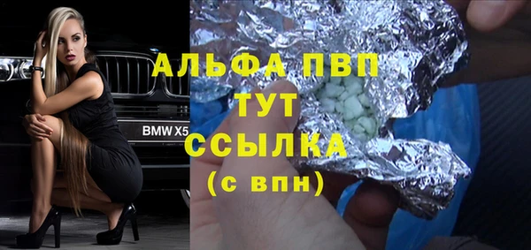 стафф Осинники
