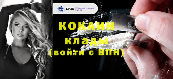 сатива Верея