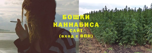 сатива Верея
