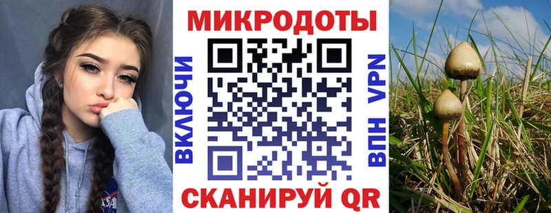 Галлюциногенные грибы Magic Shrooms  Канск 