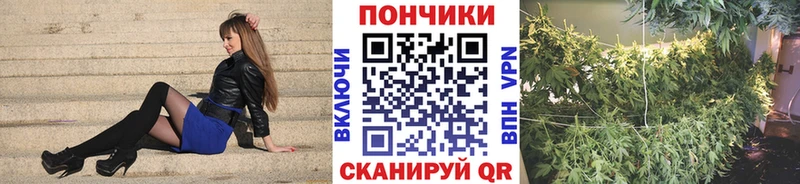 Бошки марихуана Amnesia  Канск 